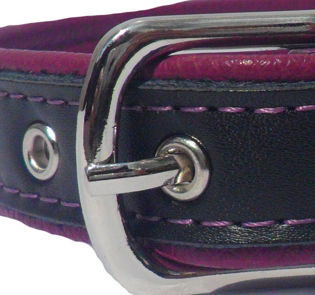 Berry Dog Collar