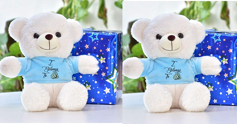 Soft Teddy Bear Toy Pack of 2