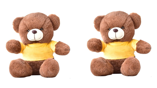 Brown Be Mine Teddy Bear For kids Pack of 2