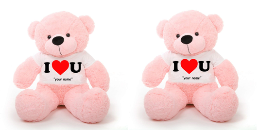 SOFT TOYS Teddy Bear For Home & Decoration Pack of 2