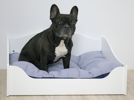 Wooden Pet Bed for Dogs & Cats – Premium Elevated Bed with Cushion |